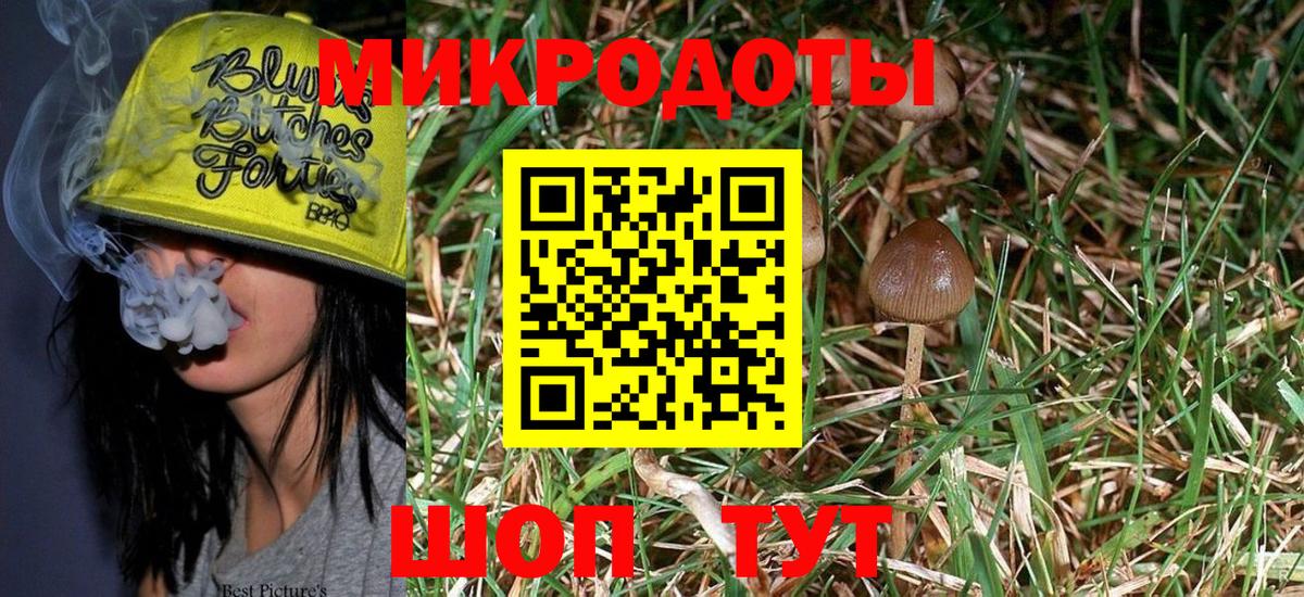 Галлюциногенные грибы прущие грибы Ипатово