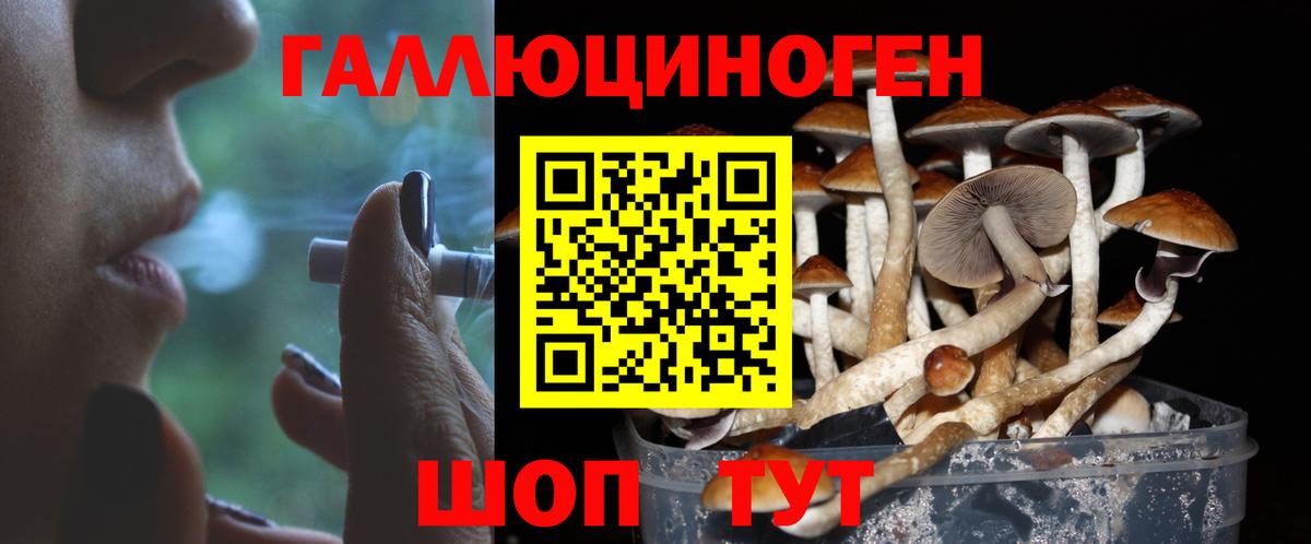 Галлюциногенные грибы Psilocybe  Вход с VPN  наркотики  Ипатово 